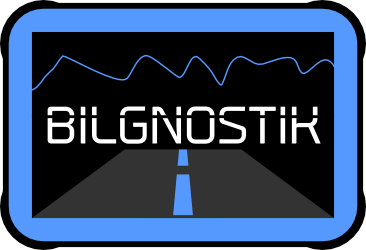 Bilgnostik logo